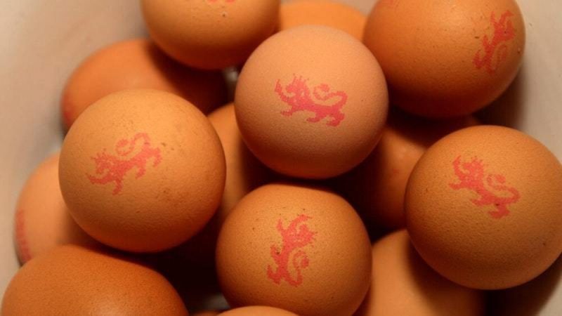 pregnant eggs over easy